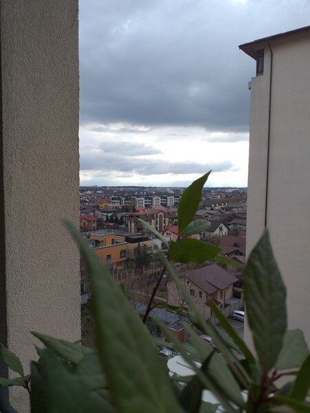 Cartierul Latin, Prelungirea Ghencea