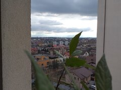 Cartierul Latin, Prelungirea Ghencea